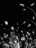 anim240320mobildesign.atw.hu_0082.gif